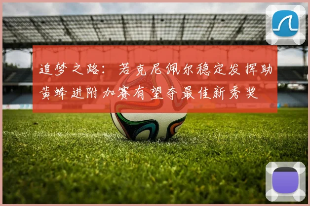 追梦之路：若克尼佩尔稳定发挥助黄蜂进附加赛有望夺最佳新秀奖