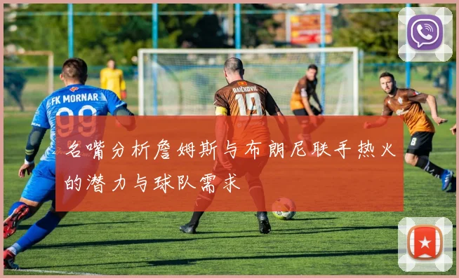 名嘴分析詹姆斯与布朗尼联手热火的潜力与球队需求